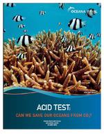Acid Test